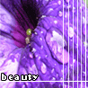 2676